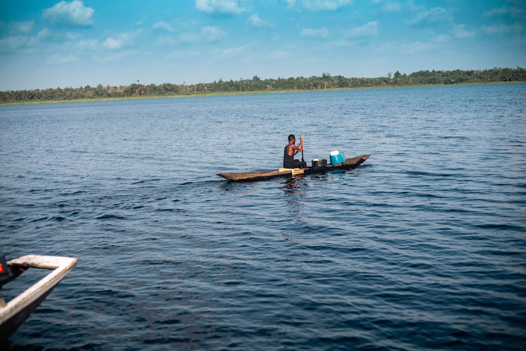 African elephants at a waterhole near Lake Chad